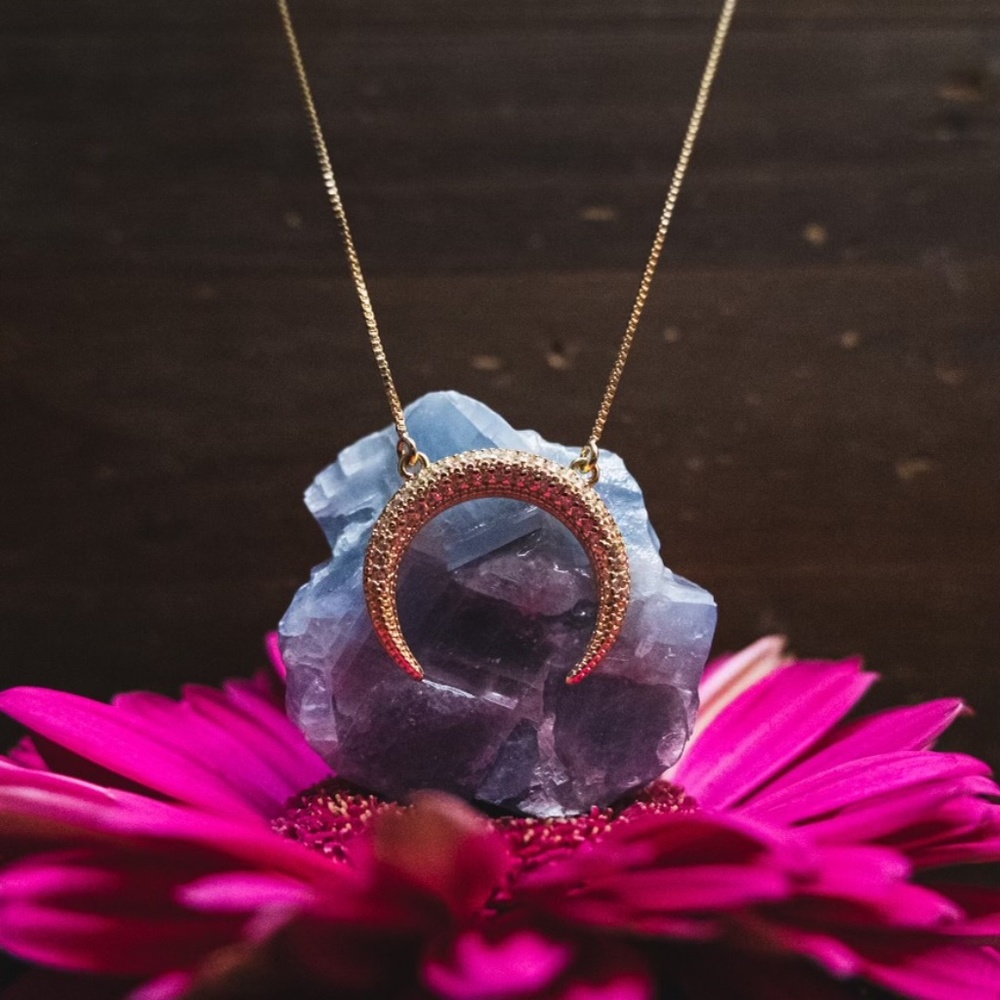 Crescent Moon Necklace